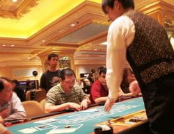 Asian gamblers