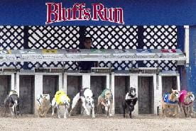 Bluffs Run
