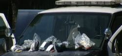 Bags of cash