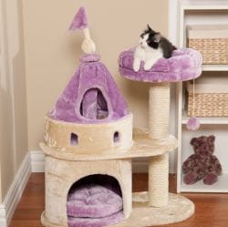 Cat castle