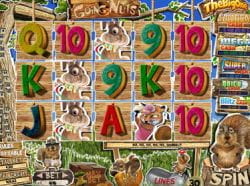 Going Nuts slot