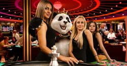 Live roulette dealers with panda
