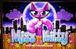 Miss Kitty