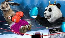 Royal Panda boxing