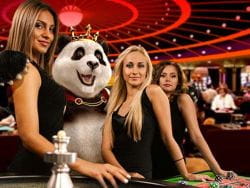 Royal Panda live casino