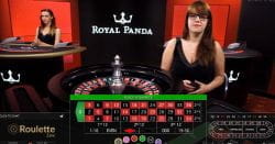 Royal Panda Live Roulette