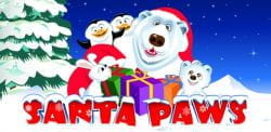 Santa Paws