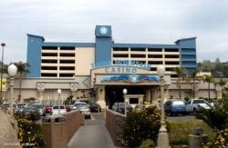 Table Mountain Casino