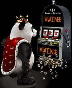 Winning panda slot