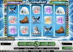 Icy Wonders