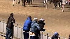 Sex horse race