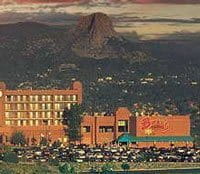 buckys casino