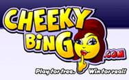 cheeky bingo