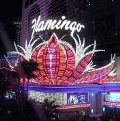 Flamingo Casino Hotel Las Vegas