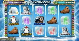 icy wonders slot