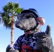 roland rat