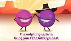 rollover bingo