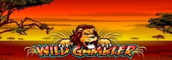 Wild Gambler