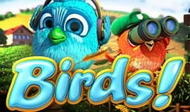 Tolle Grafik beim Birds! Online Slot