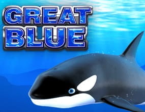 Great Blue mit dem bekannten Orca ist einer der Playtech Spielautomaten Dauerbrenner