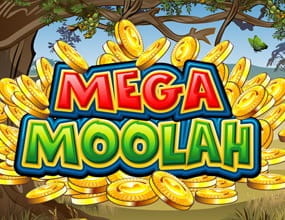 Der Mega Moolah Slot wartet mit riesigen Gewinnen
