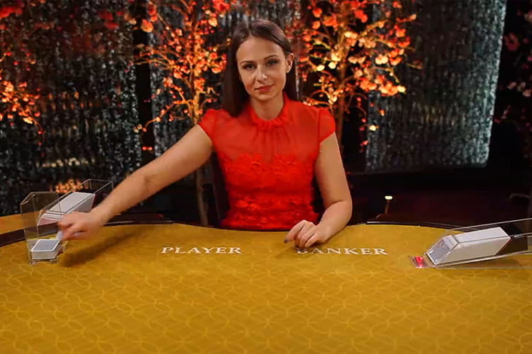 fernsehgarten gran canaria 5 euro gratis casino bonus