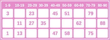 A 90-ball bingo ticket
