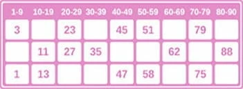 A 90-ball bingo ticket