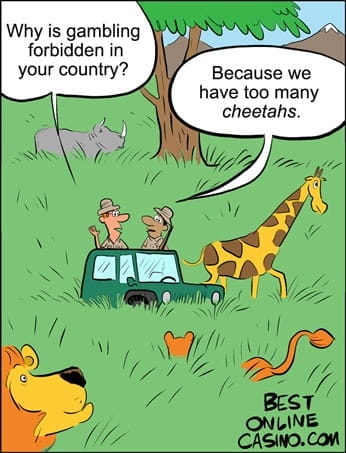 Hot Casino Jokes and Gambling Cartoons for the Joker in You, casino slot jokes. Hot Casino Jokes and Gambling Cartoons for the Joker in You, casino slot jokes.