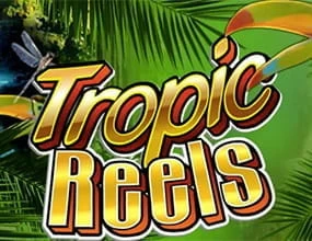 Another impressive Playtech slot with a tropical theme
