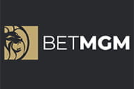 BetMGM Online Casino in New Jersey 