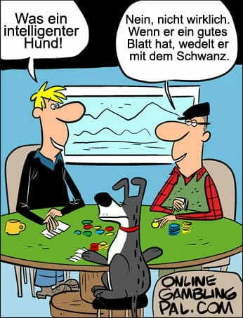 Poker spielender Hund