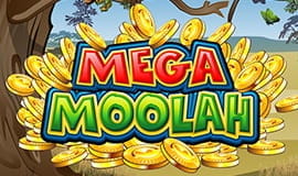 Imagine promoțională Mega Moolah