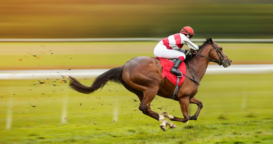Pennsylvania Gaming Laws on Sports Betting and Horse Racing 