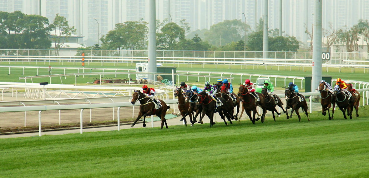 Chinese Gambling Games Animal Races 