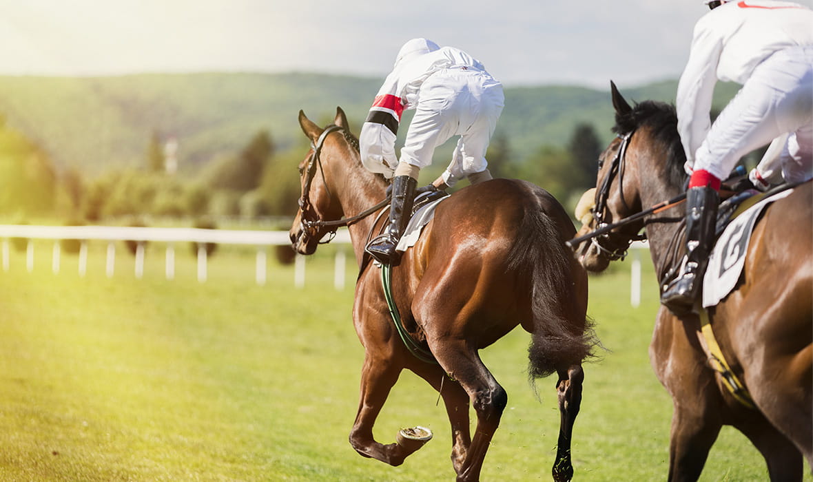 Horse and Trainer at Ascot 