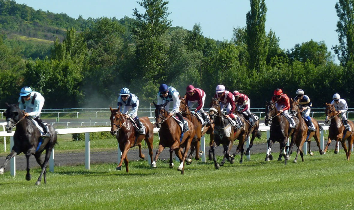 Horses Racing Around a Hippodrome 